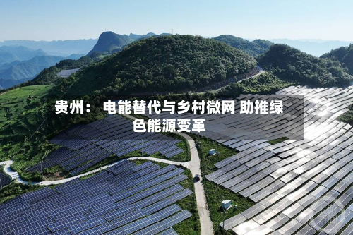 贵州： 电能替代与乡村微网 助推绿色能源变革