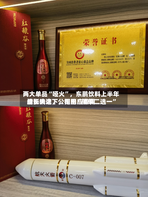 两大单品“哑火”，东鹏饮料上半年增长失速，公司回应费用战影响之下，拒绝“简单二选一”