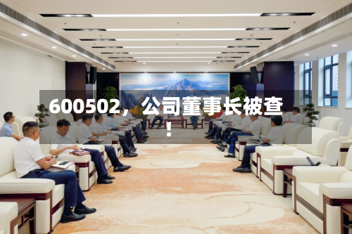 600502，公司董事长被查！-第3张图片