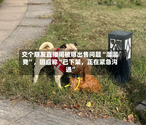 交个朋友直播间被曝出售问题“溜溜凳”，回应称“已下架	，正在紧急沟通”-第2张图片