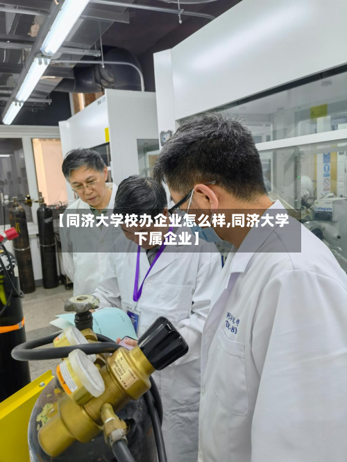 【同济大学校办企业怎么样,同济大学下属企业】-第2张图片