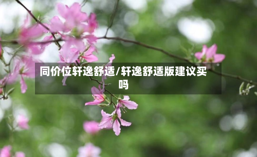 同价位轩逸舒适/轩逸舒适版建议买吗