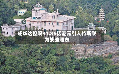 威华达控股31.86亿港元引入特斯联为战略股东-第1张图片