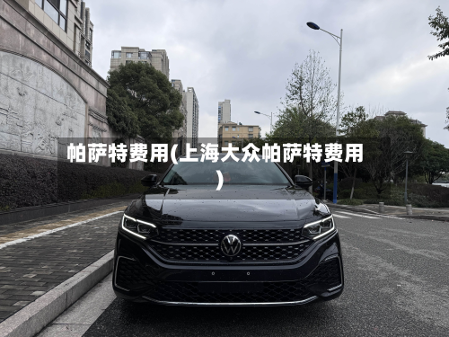 帕萨特费用(上海大众帕萨特费用)-第2张图片