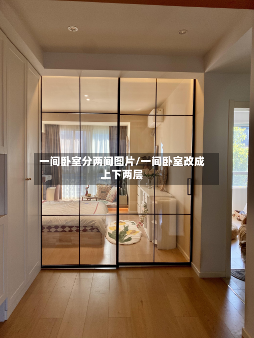 一间卧室分两间图片/一间卧室改成上下两层