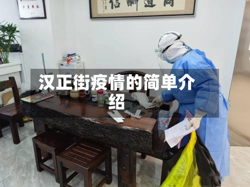 汉正街疫情的简单介绍