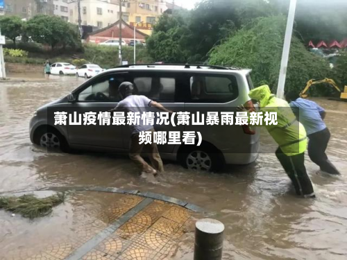萧山疫情最新情况(萧山暴雨最新视频哪里看)-第2张图片