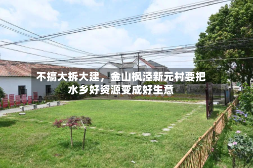 不搞大拆大建，金山枫泾新元村要把水乡好资源变成好生意