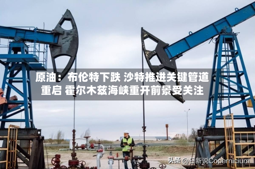原油：布伦特下跌 沙特推进关键管道重启 霍尔木兹海峡重开前景受关注-第2张图片