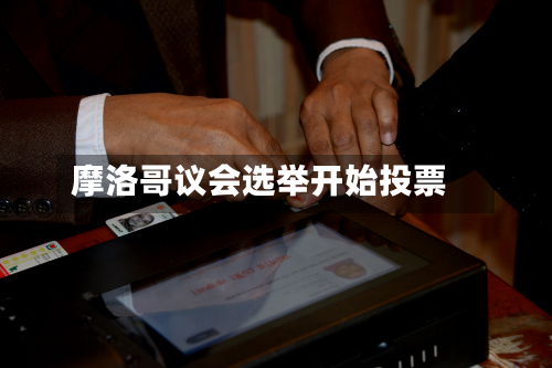 摩洛哥议会选举开始投票