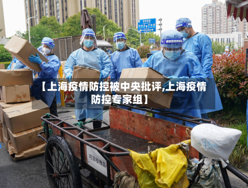【上海疫情防控被中央批评,上海疫情防控专家组】