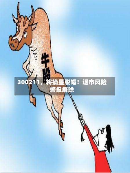 300211，将摘星脱帽！退市风险警报解除-第2张图片