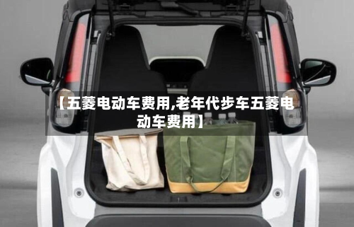 【五菱电动车费用,老年代步车五菱电动车费用】-第2张图片