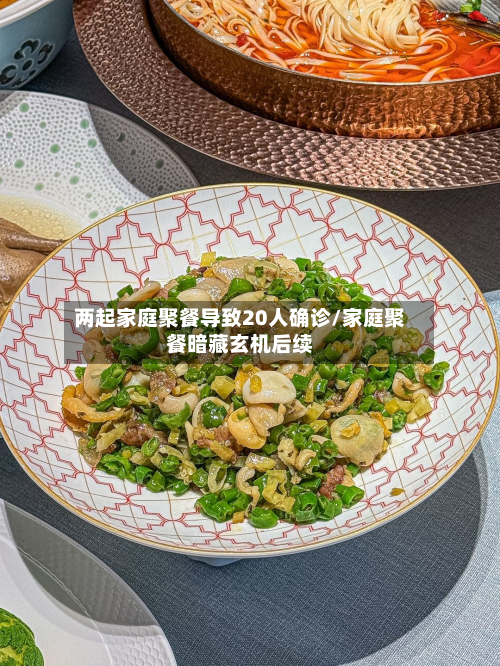 两起家庭聚餐导致20人确诊/家庭聚餐暗藏玄机后续-第3张图片