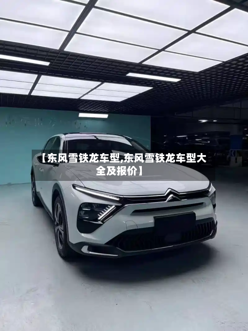 【东风雪铁龙车型,东风雪铁龙车型大全及报价】-第2张图片