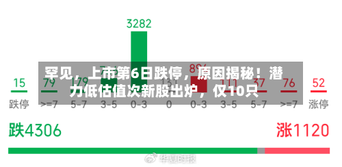 罕见，上市第6日跌停，原因揭秘！潜力低估值次新股出炉，仅10只