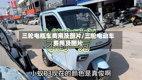 三轮电瓶车费用及图片/三轮电动车费用及图片-第2张图片