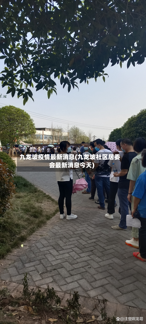 九龙坡疫情最新消息(九龙坡社区居委会最新消息今天)-第3张图片