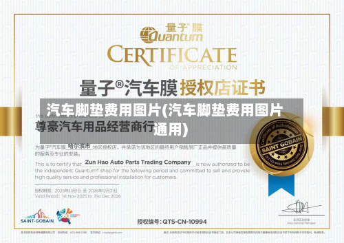 汽车脚垫费用图片(汽车脚垫费用图片 通用)