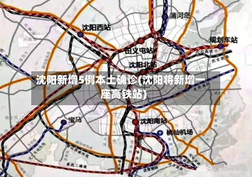 沈阳新增5例本土确诊(沈阳将新增一座高铁站)-第3张图片