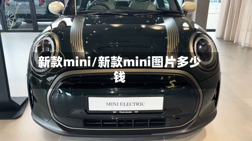 新款mini/新款mini图片多少钱