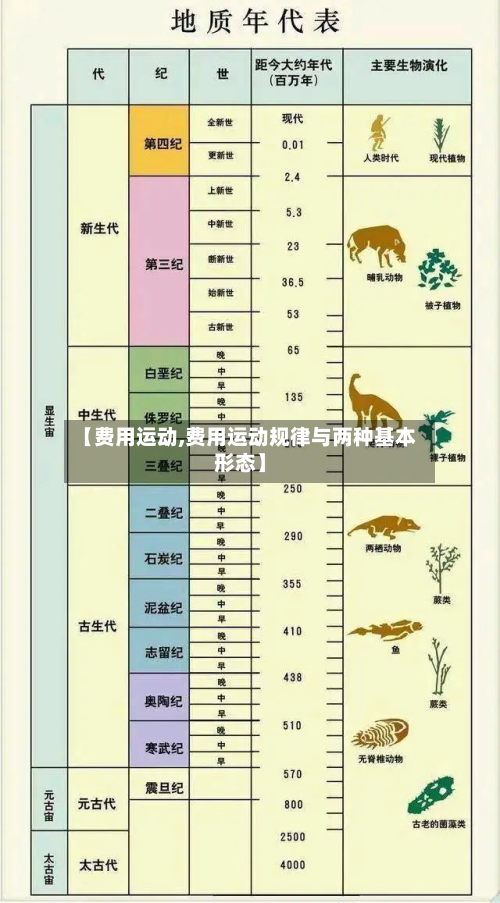 【费用运动,费用运动规律与两种基本形态】