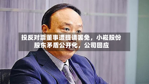 投反对票董事遭提请罢免，小崧股份股东矛盾公开化，公司回应-第2张图片