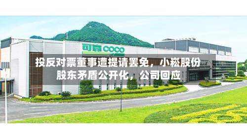 投反对票董事遭提请罢免，小崧股份股东矛盾公开化	，公司回应-第1张图片