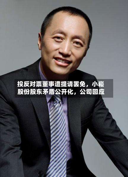 投反对票董事遭提请罢免	，小崧股份股东矛盾公开化，公司回应-第3张图片