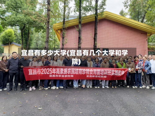 宜昌有多少大学(宜昌有几个大学和学院)
