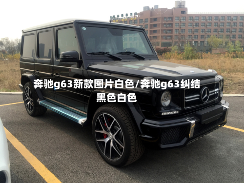奔驰g63新款图片白色/奔驰g63纠结黑色白色-第2张图片