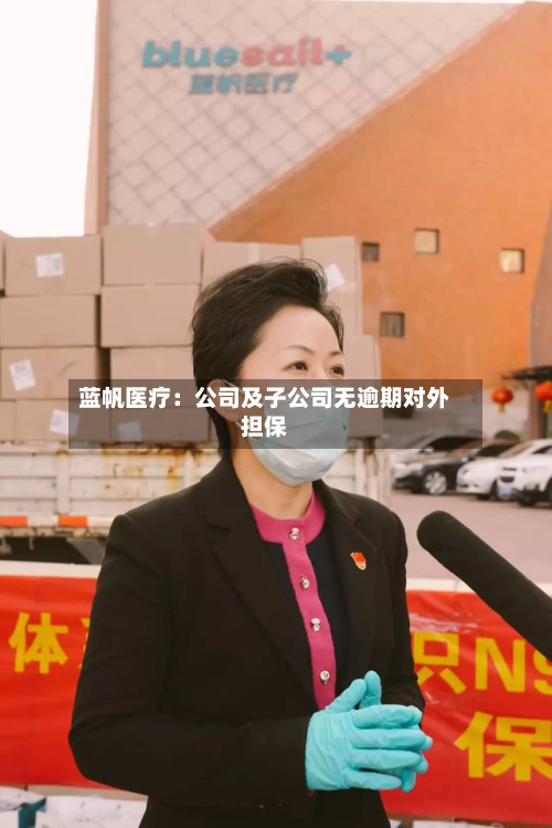 蓝帆医疗：公司及子公司无逾期对外担保-第3张图片
