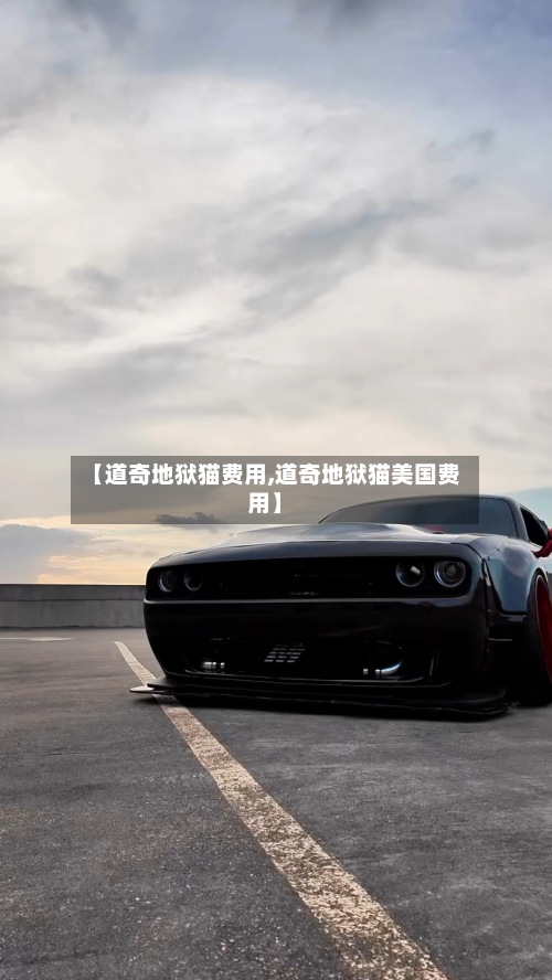 【道奇地狱猫费用,道奇地狱猫美国费用】-第2张图片