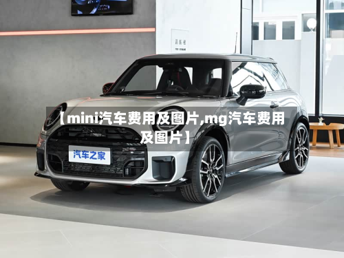 【mini汽车费用及图片,mg汽车费用及图片】-第2张图片