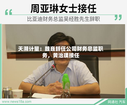 天溯计量：魏巍辞任公司财务总监职务，黄治璞接任-第2张图片