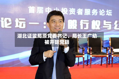 湖北证监局原党委书记、局长王广幼被开除党籍-第2张图片