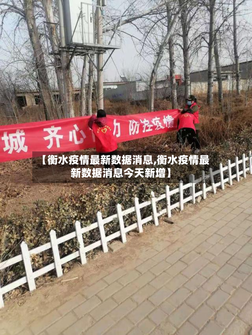 【衡水疫情最新数据消息,衡水疫情最新数据消息今天新增】-第2张图片