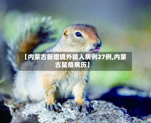 【内蒙古新增境外输入病例27例,内蒙古鼠疫病历】-第2张图片