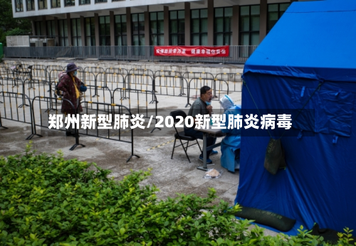 郑州新型肺炎/2020新型肺炎病毒