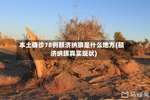 本土确诊78例额济纳旗是什么地方(额济纳旗真实现状)
