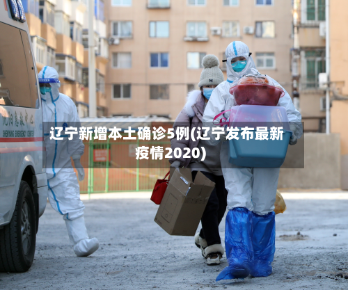 辽宁新增本土确诊5例(辽宁发布最新疫情2020)