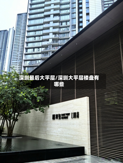 深圳最后大平层/深圳大平层楼盘有哪些