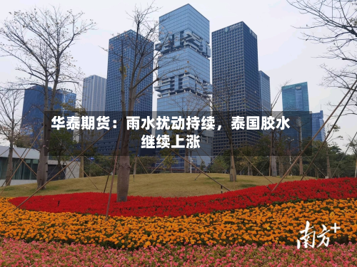 华泰期货：雨水扰动持续，泰国胶水继续上涨-第1张图片