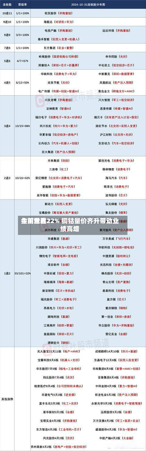 金川世界
午前涨逾22% 铜钴量价齐升带动业绩高增-第2张图片