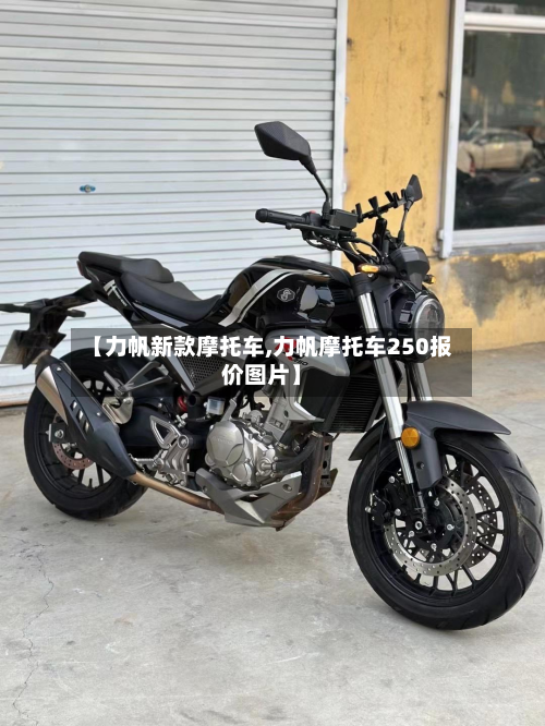 【力帆新款摩托车,力帆摩托车250报价图片】
