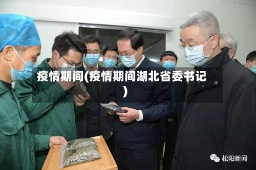 疫情期间(疫情期间湖北省委书记)-第2张图片