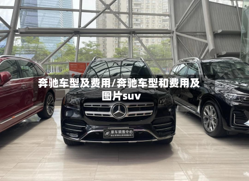奔驰车型及费用/奔驰车型和费用及图片suv-第3张图片