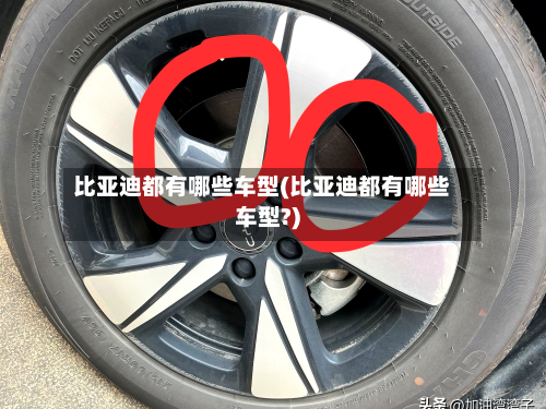 比亚迪都有哪些车型(比亚迪都有哪些车型?)-第2张图片