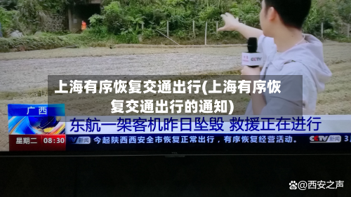 上海有序恢复交通出行(上海有序恢复交通出行的通知)