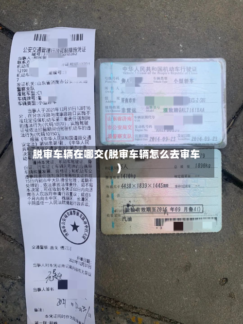 脱审车辆在哪交(脱审车辆怎么去审车)